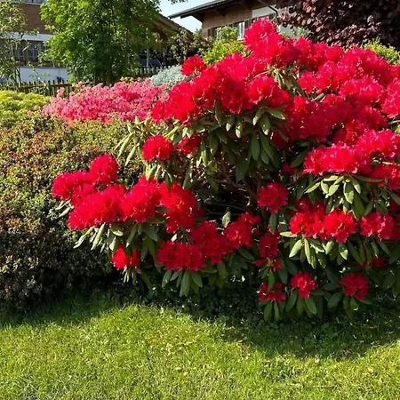 Sunneggli By Interhome * Aeschi Bei Spiez