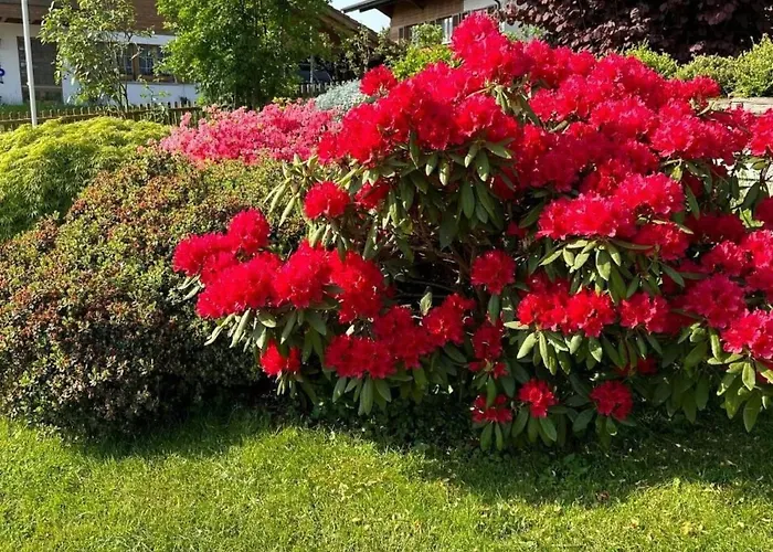 Sunneggli By Interhome * Aeschi Bei Spiez